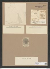 Coscinodiscus fimbriatus Ehr. (de-Toni-Nr.: Genus 202, Species 5042) Zeichnungen Sammlung Grunow Nr. 8787 (NHMW-BOT-W0378389)